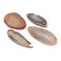 agat plaster zestaw.webp