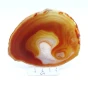 czerwony agat plaster.webp