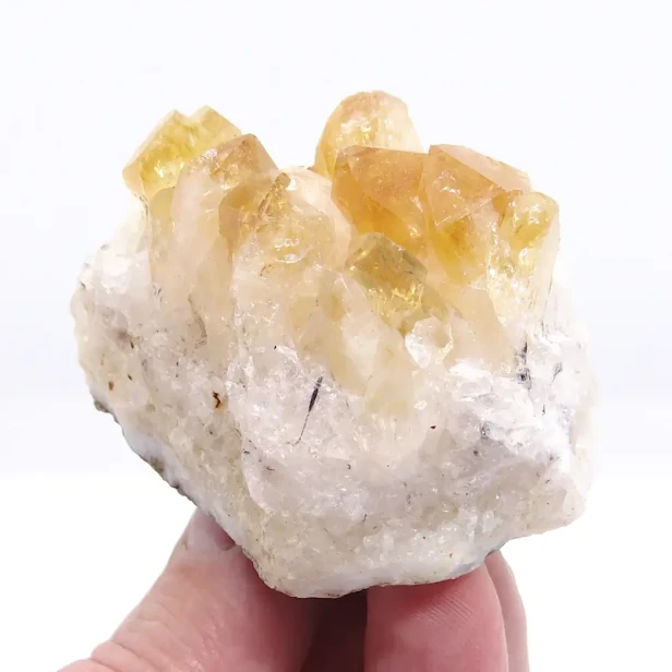 cytryn surowy kawałek.webp