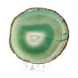 zielony agat plaster.webp