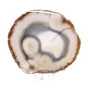 agat plaster.webp