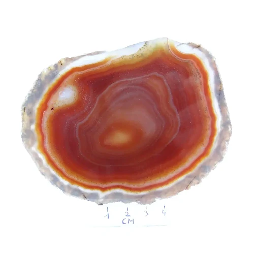 agat plaster.webp