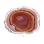 czerwony agat plaster.webp