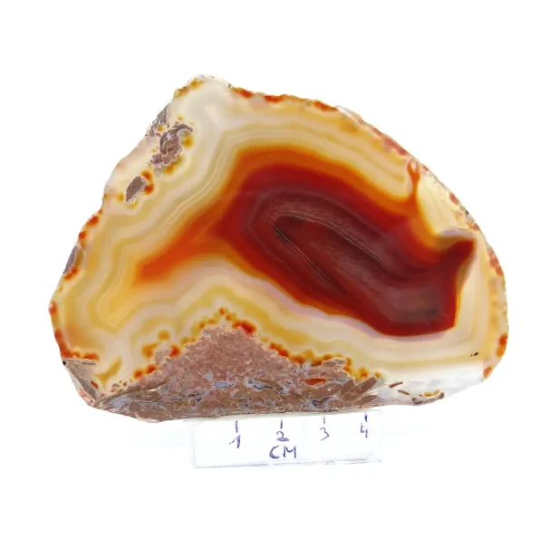 agat plaster.webp