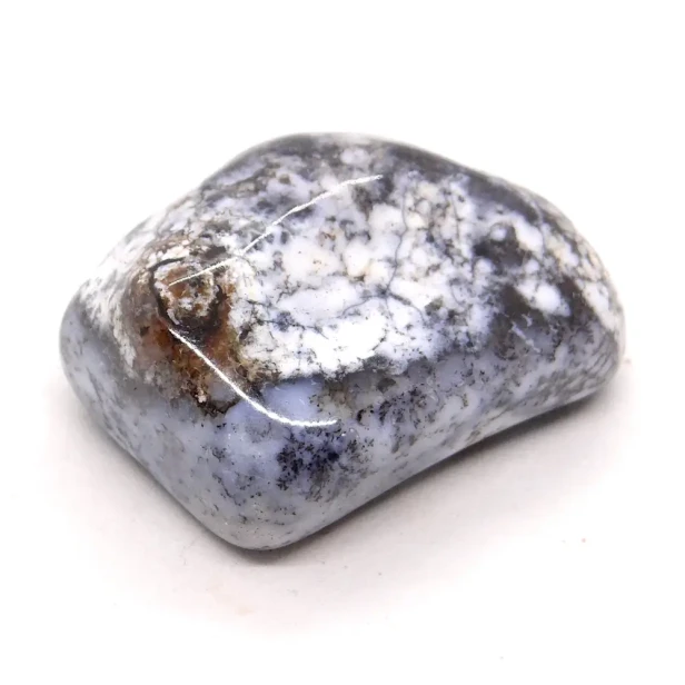 opal.webp
