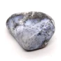 opal dendrytowy.webp