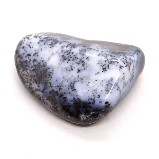 opal dendrytowy.webp