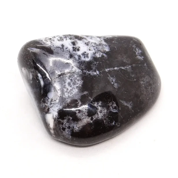 opal mszysty, dendrytowy.webp