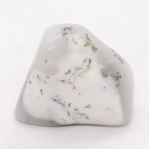 opal dendrytowy.webp