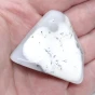 opal mszysty, dendrytowy.webp