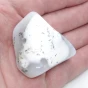 opal z dendrytami.webp