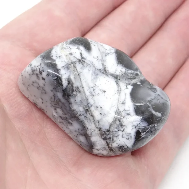 opal z dendrytami.webp