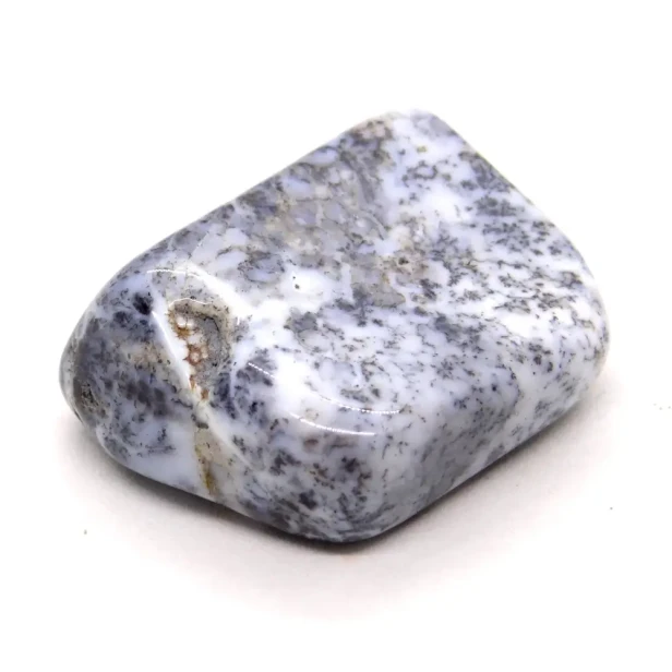 opal dendrytowy.webp