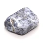 opal dendrytowy.webp