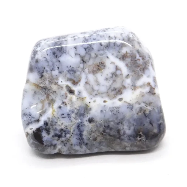 opal dendrytowy, mszysty.webp