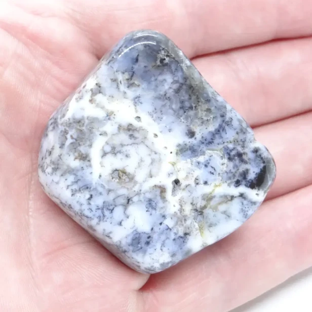 opal z dendrytami.webp