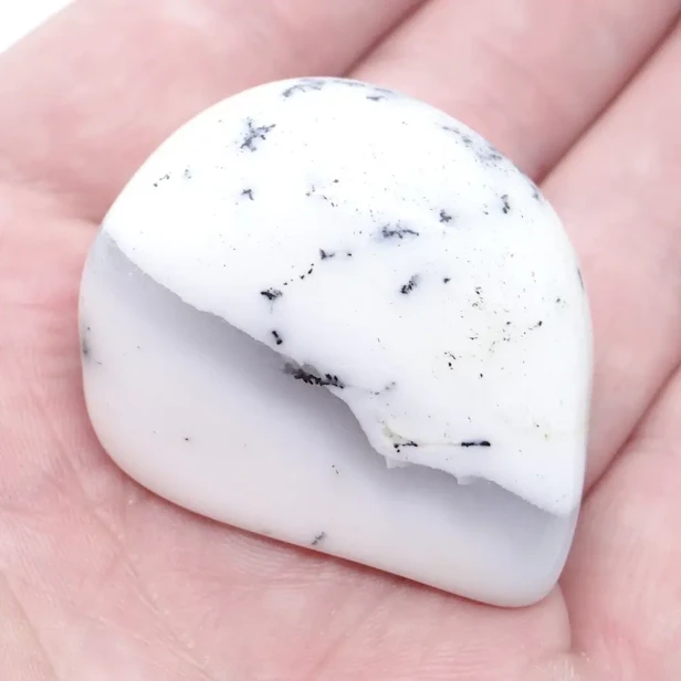 opal z dendrytami.webp