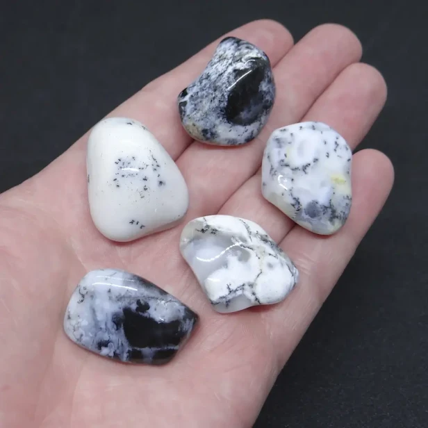 opal mszysty, dendrytowy.webp