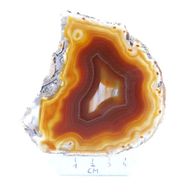 agat plaster.webp