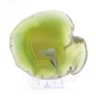 agat plaster.webp