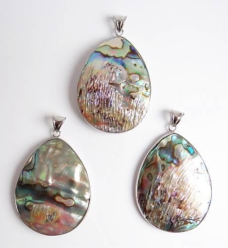 muszla abalone wisiorek.jpg