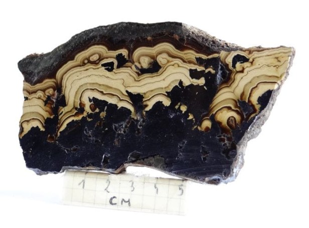 sfaleryt plaster.jpg