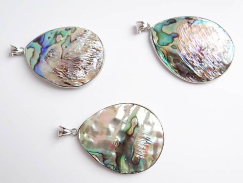 abalone wisior muszla.jpg