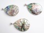 abalone wisior muszla.jpg