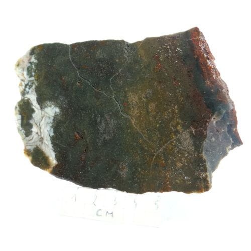 duży heliotrop.jpg